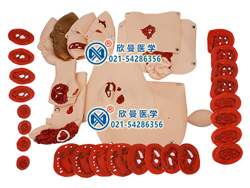 XM-CS34創(chuàng)傷模型組件,高級創(chuàng)傷評估模塊