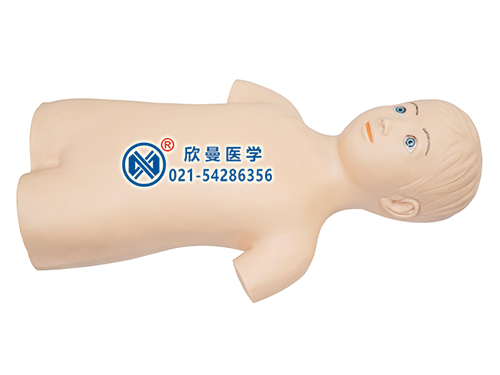 XM-ETG兒童股靜脈與股動(dòng)脈穿刺訓(xùn)練模型,兒童股靜脈與股動(dòng)脈穿刺模擬人