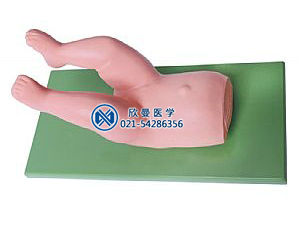 嬰兒髖關節(jié)復位操作模型