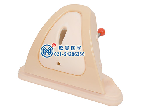 XM-HY高級(jí)會(huì)陰切開縫合訓(xùn)練模型,會(huì)陰切開縫合練習(xí)模型