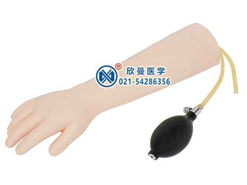 XM-S8B高級(jí)兒童動(dòng)脈穿刺注射手臂模型