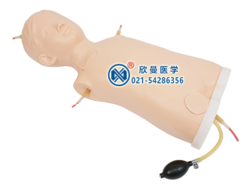 XM-ZXA兒童中心靜脈注射穿刺軀干訓(xùn)練模型
