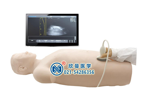 XM-CS330超聲引導(dǎo)下腹腔穿刺技能訓(xùn)練模擬人體模型