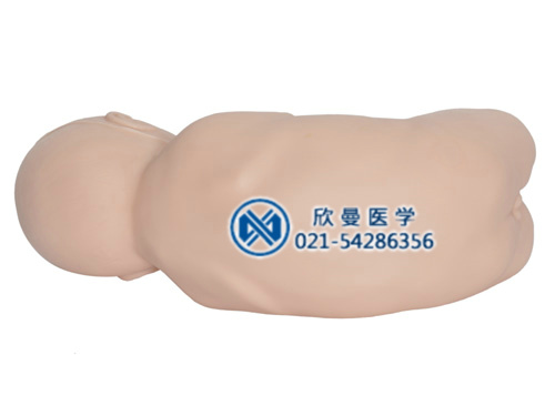 新生兒腰椎穿刺模型，小兒腰穿模型