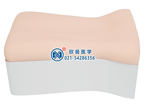 背部仿真針刺練習(xí)平臺(tái)整體結(jié)構(gòu)