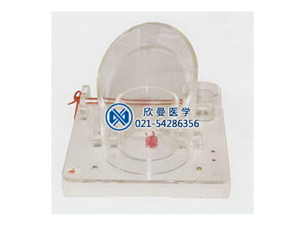 XM-DJF多功能電子打結(jié)訓(xùn)練器,多功能電子打結(jié)練習(xí)模型