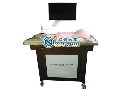 高智能數(shù)字—體化脈象、針刺、推拿教學(xué)測(cè)定系統(tǒng)