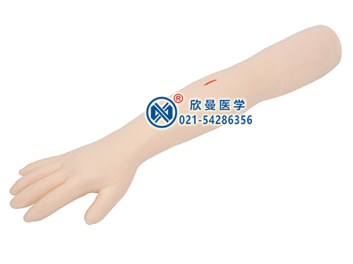 XM-FS高級(jí)外科縫合練習(xí)手臂模型,外科縫合上肢模型,上肢外科基本操作模型