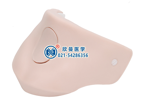穿戴式環(huán)甲膜穿刺氣管切開訓練模型