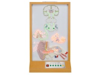聽覺傳導(dǎo)電動模型