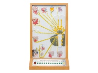 腦神經(jīng)和腦神經(jīng)的成分及分布電動模型